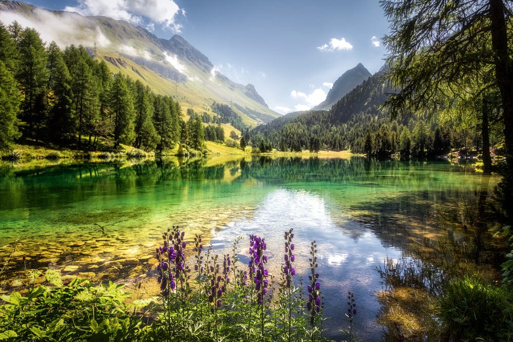Fränzi Raufer Photography Bild Wandbild Lai da Palpuogna, Kanton Graubünden