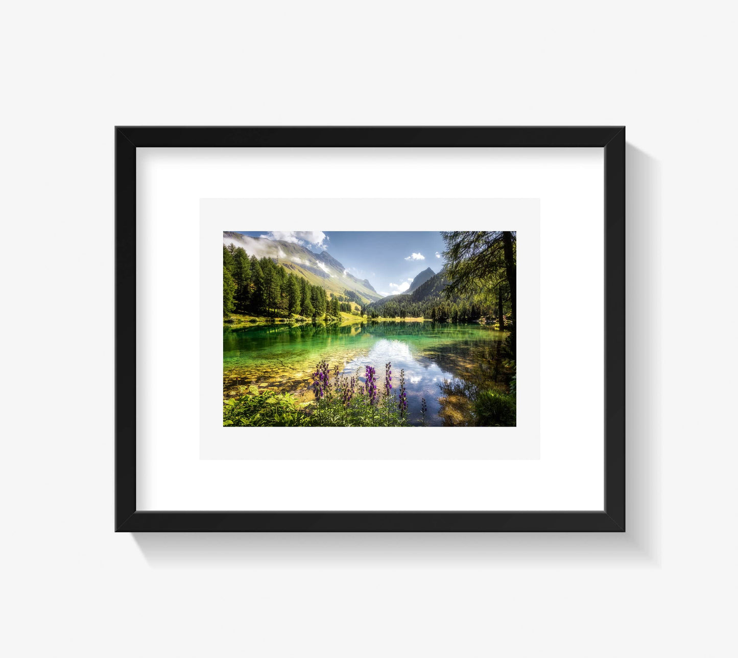 Fränzi Raufer Photography Bild Wandbild Lai da Palpuogna, Kanton Graubünden