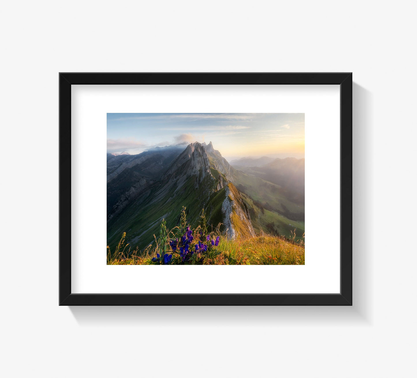 Fränzi Raufer Photography Bild Wandbild Schäfler, Kanton Appenzell, Schweiz