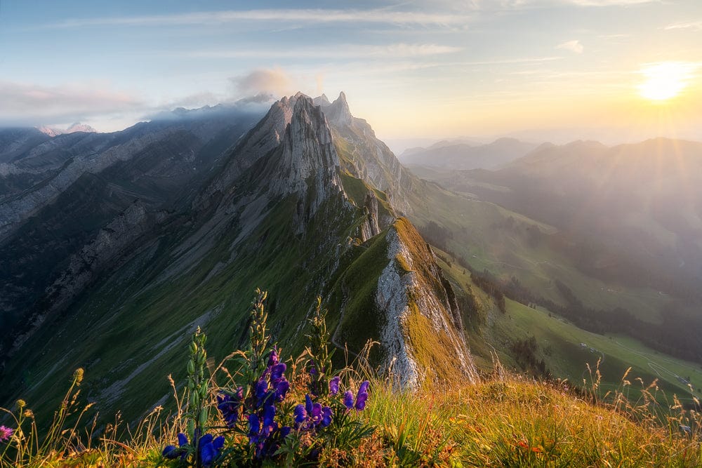 Fränzi Raufer Photography Bild Wandbild Schäfler, Kanton Appenzell, Schweiz