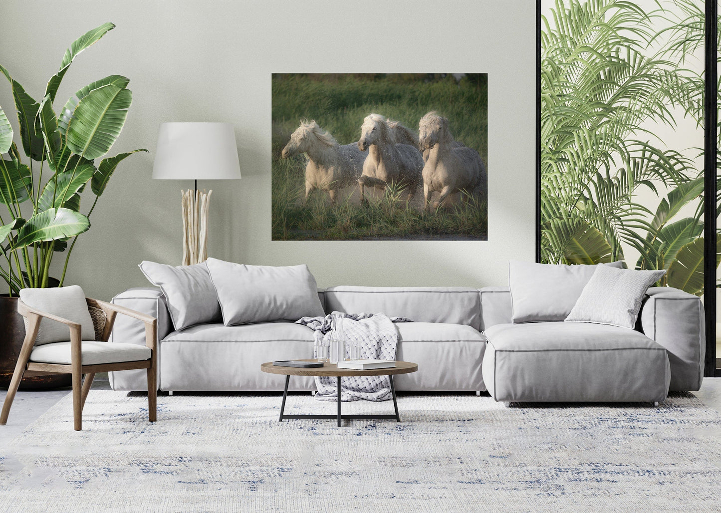Fränzi Raufer Photography Bild Wandbild weisse Pferde der Camargue, Frankreich
